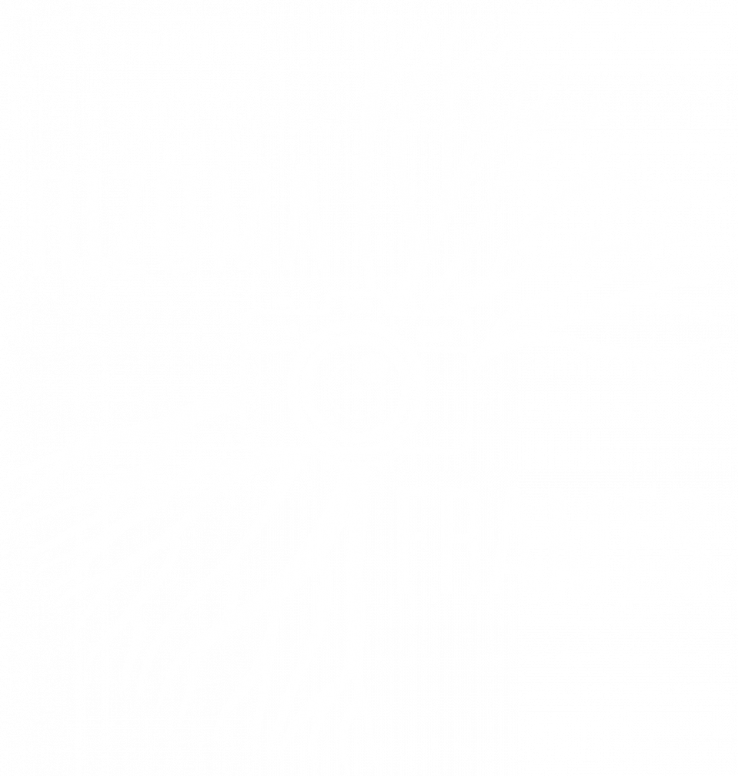 logo de rizoma frames blanco
